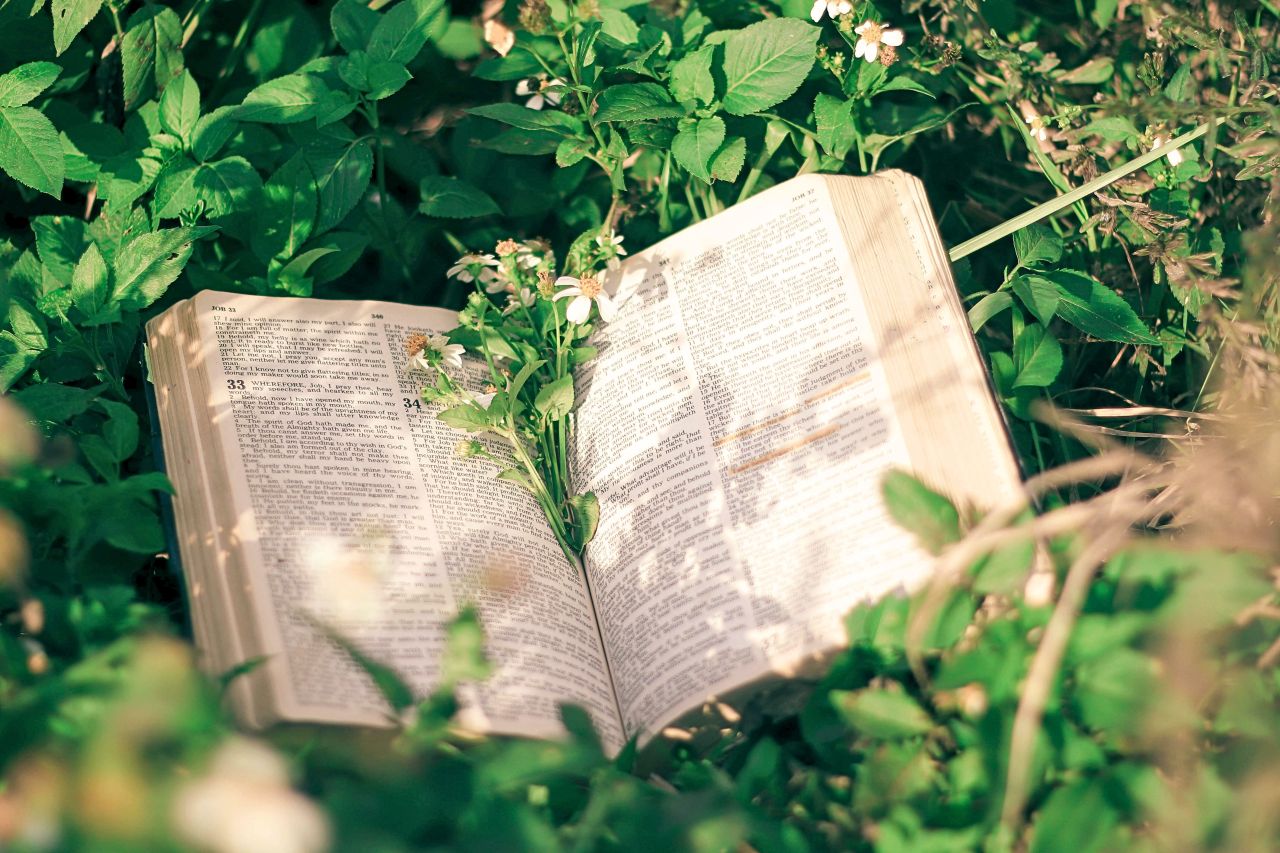 What Your Favorite Bible Verse Says About You ✝️