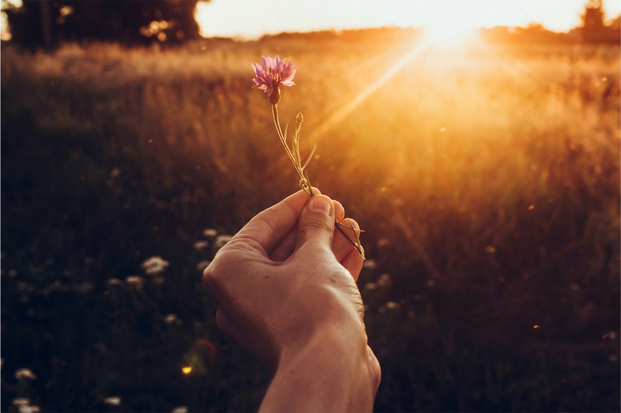 A Devotional To Shine Without Dimming Others