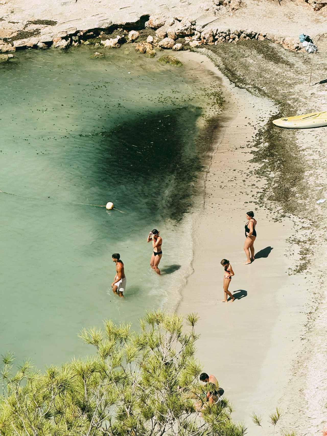 Your Daily Devotional 1/13/2026: Offering Your Body as Living Sacrifice