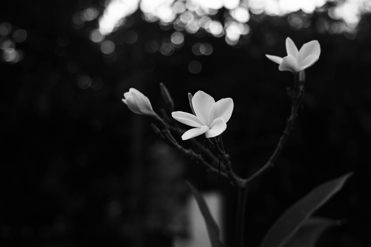 How To Know God Is Doing A New Thing In Your Life