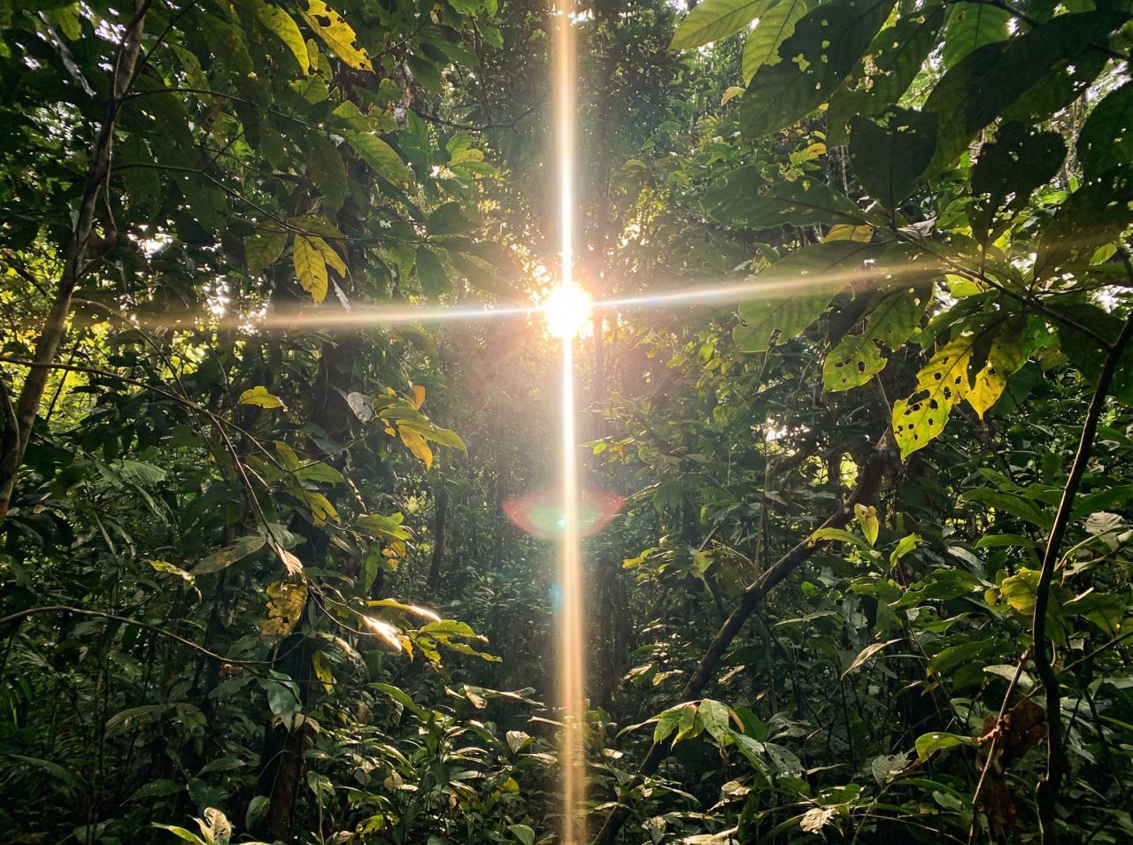 12 Subtle Miracles God Uses To Realign Your Life