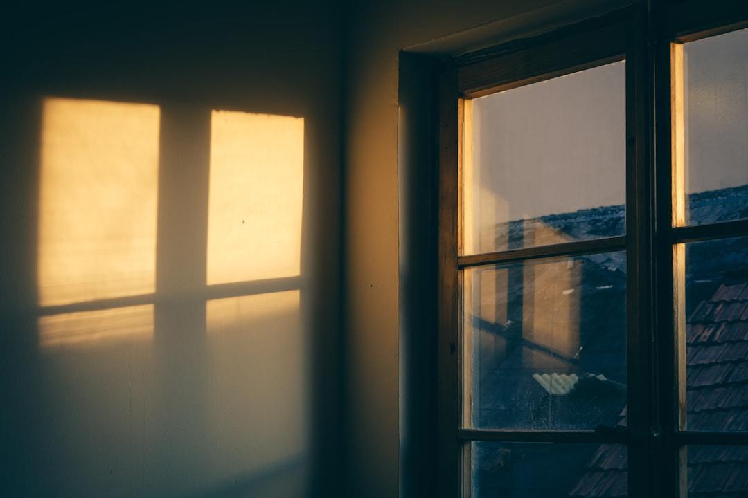 Your Daily Devotional · September 8: When You’ve Forgotten How to Feel Joy Without Guilt